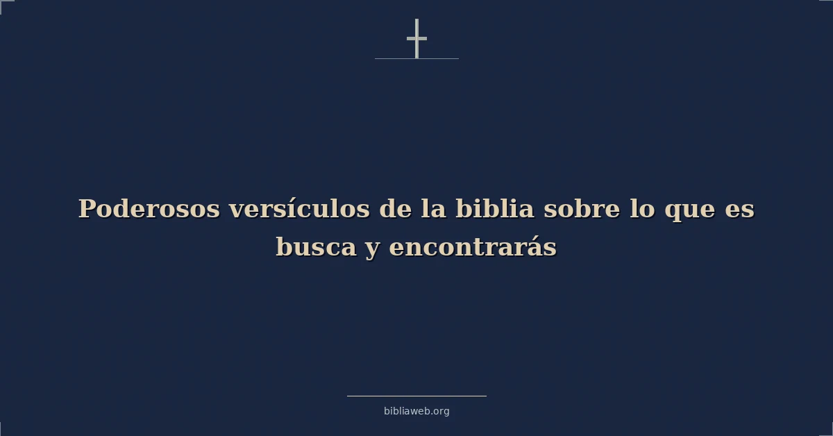 Versículos Bíblicos sobre lo que es busca y encontrarás