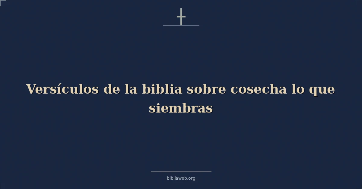 Versículos de la biblia sobre cosecha lo que siembras